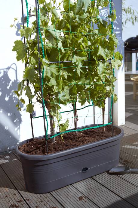 green basics jardiniere treillis 80cm living noir